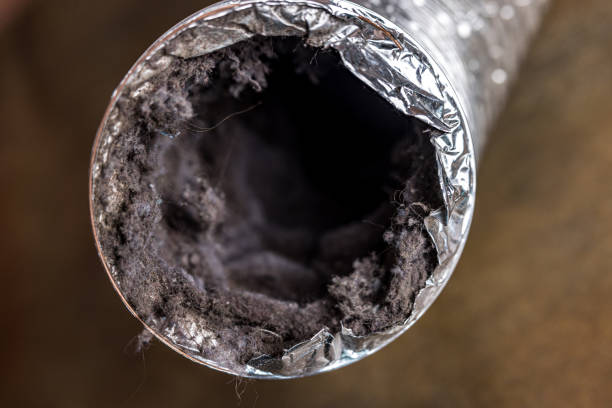 Best Affordable Duct Cleaning Services  in Novi, MI