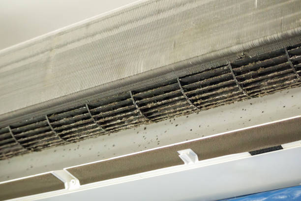 Best Ductwork Cleaning Services  in Novi, MI